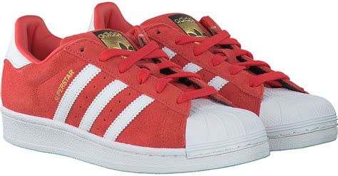 rode adidas schoenen kopen|Rode Adidas dames sneakers online kopen .